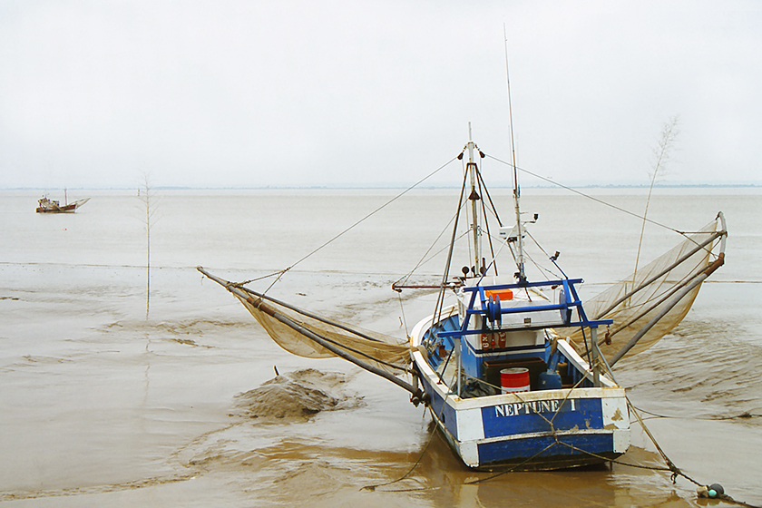 
Haut Médoc (Frankreich), 1998
