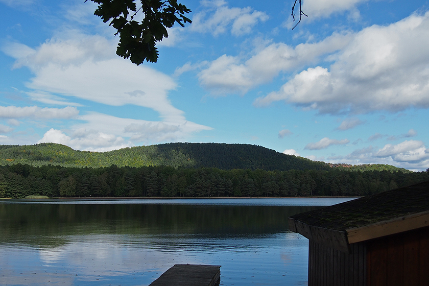 Etang de Hanau (France), 2012