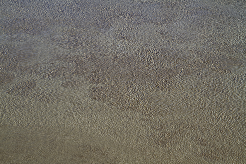 Nantes (Frankreich), 2011