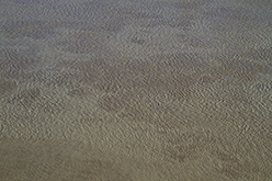 Nantes (Frankreich), 2011