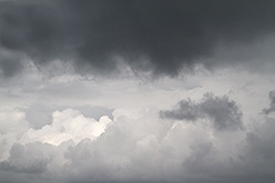 Bayonne (Frankreich), 2011