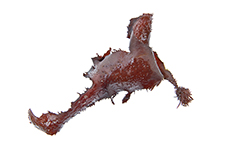 Hourtin (Frankreich), 2011