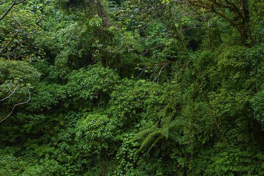 Monteverde, Costa Rica