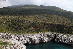 Traxila (Greece), 2010