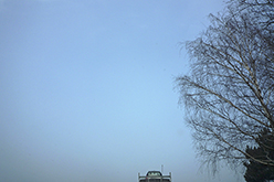 Roppenheim (France), 2009