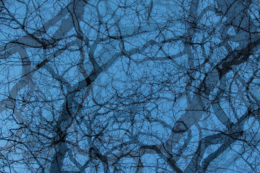 Bonn (Deutschland), 2012