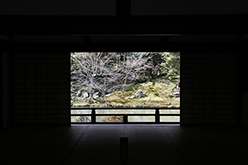 Kyoto (Japan), 2008