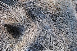 Weil der Stadt (Germany), 2007