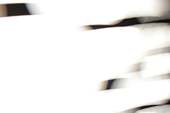 Bratislava (Slovakia), 2007