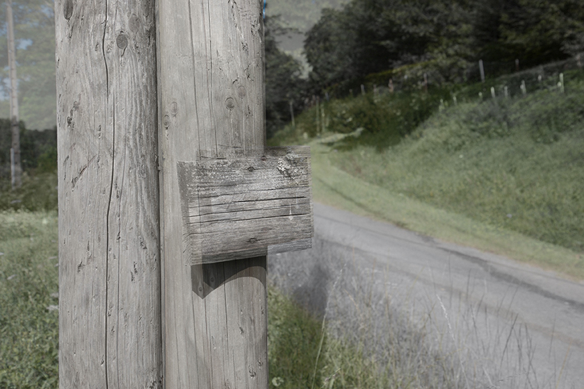 Malemort (France), 2008