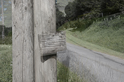 Malemort (France), 2007