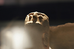 Nicosia (Cyprus), 2006