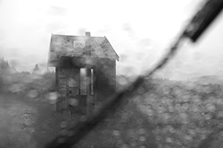 Auvergne (France), 2006