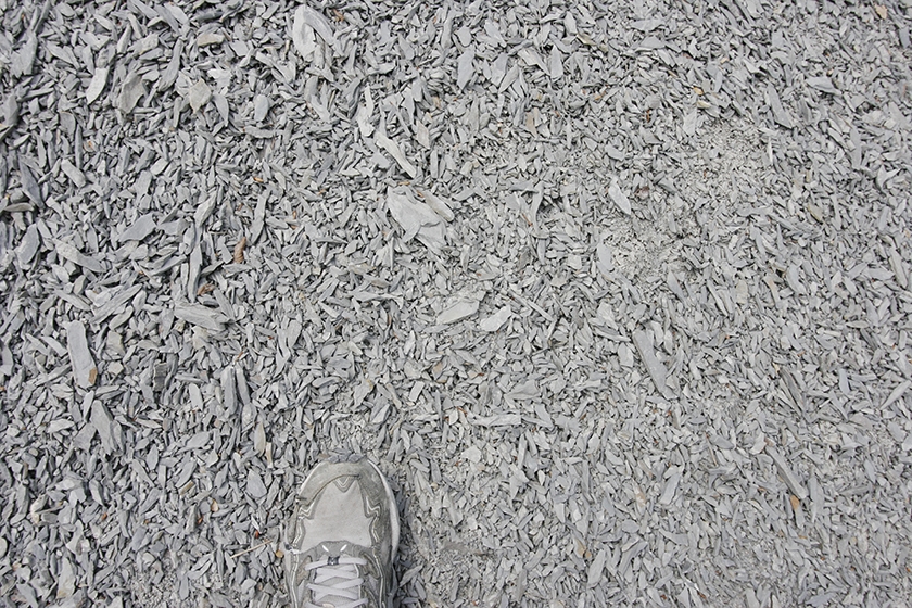 Dornbirn (Austria), 2007