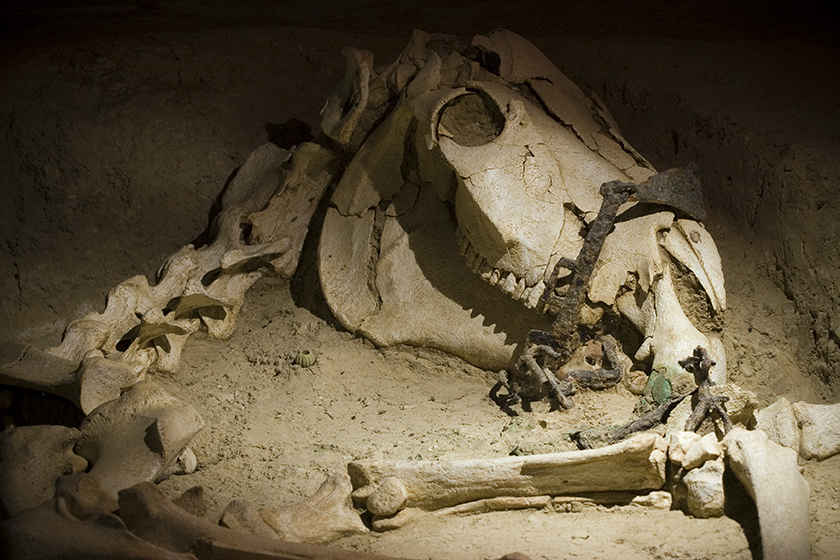 Orestiada (Griechenland), 2007