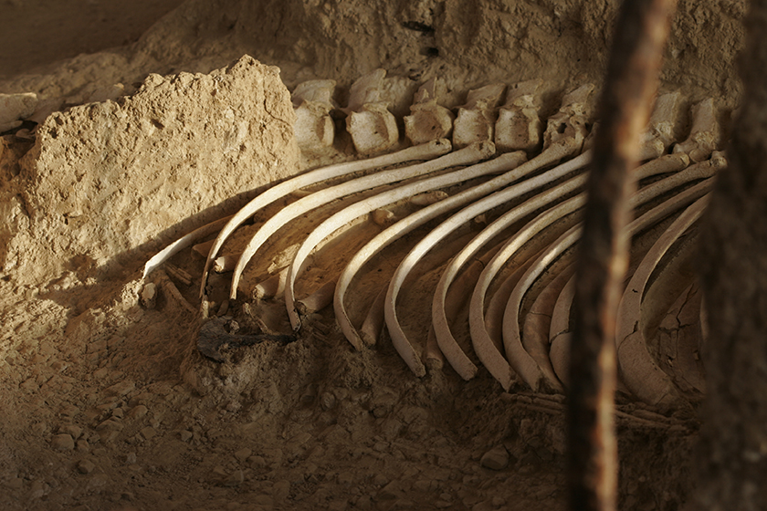 Orestiada (Griechenland), 2007