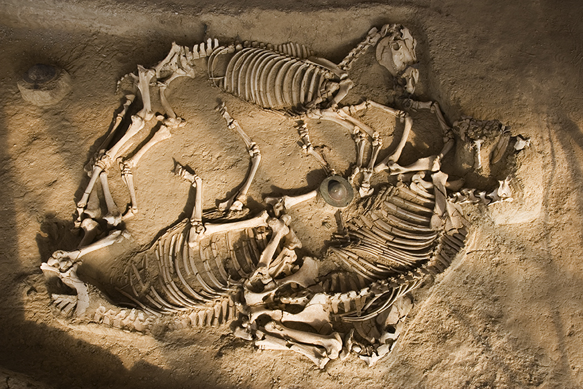 Orestiada (Griechenland), 2007